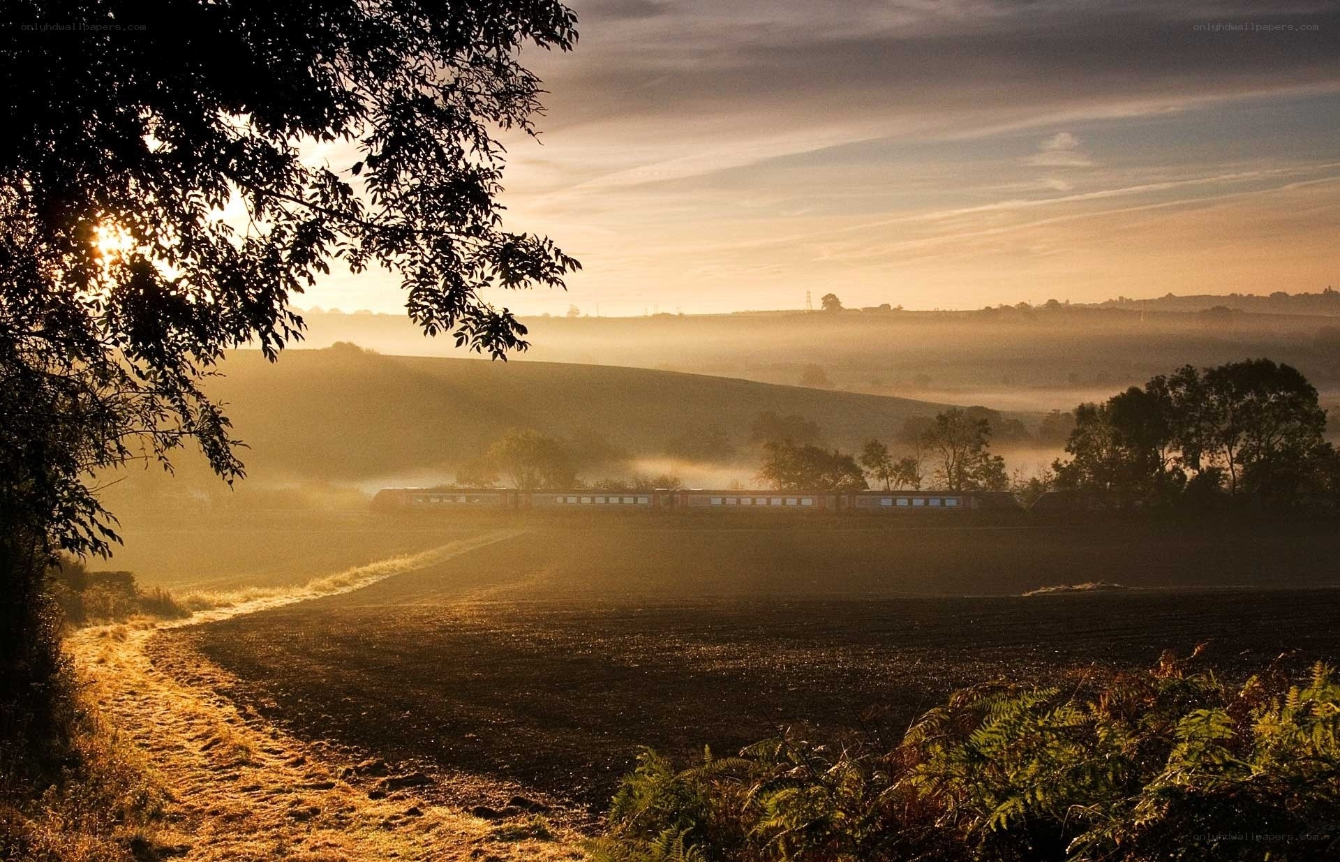 Sunrise over rural landscape
