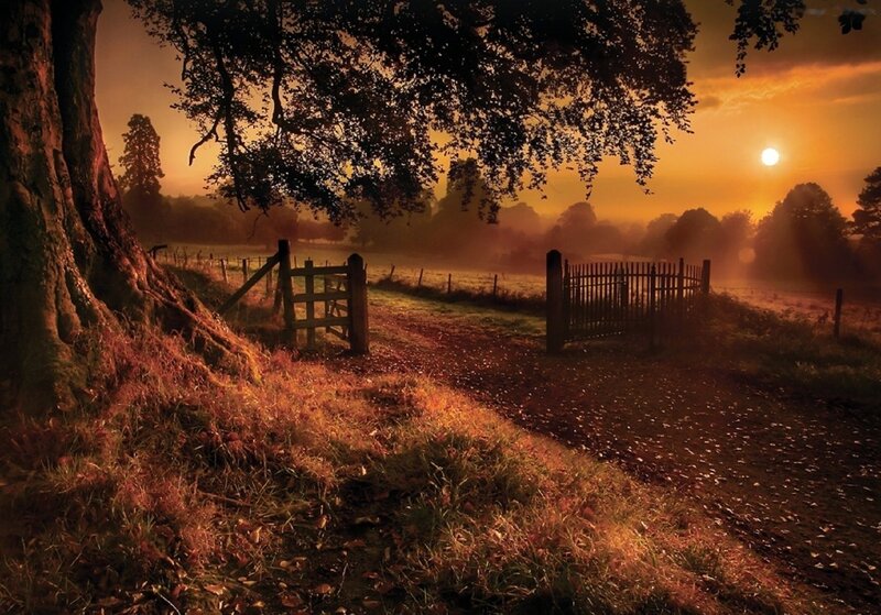 Sunrise over Rural Path — Orange, Serene, Sunset