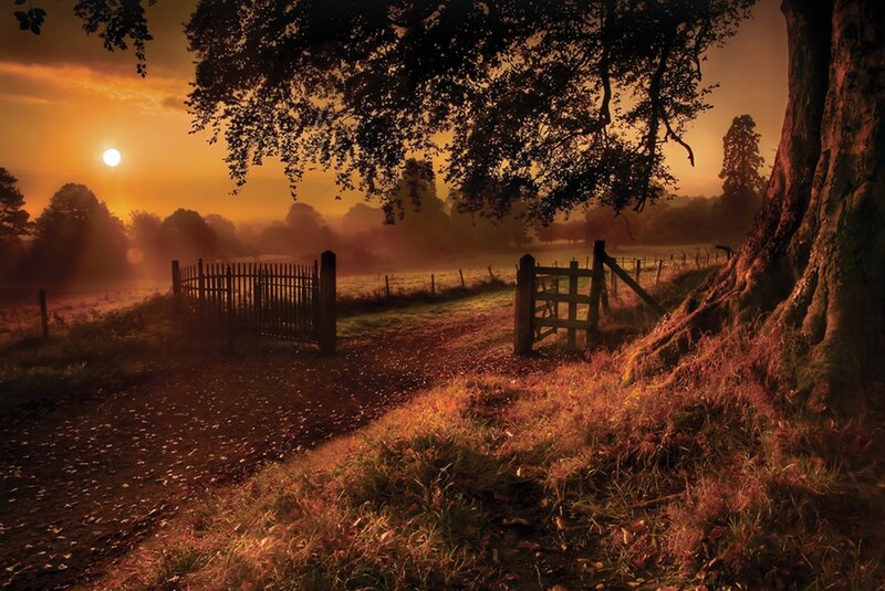 Sunrise over Rural Path — Orange, Serene