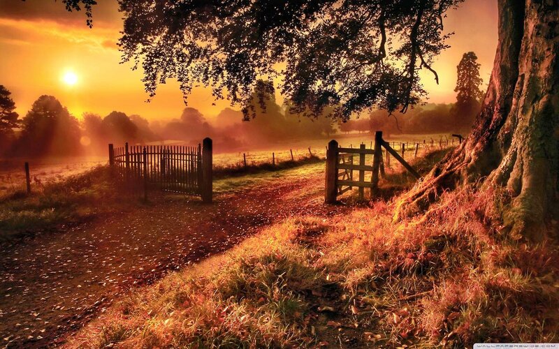 Sunrise over Rural Path — Orange