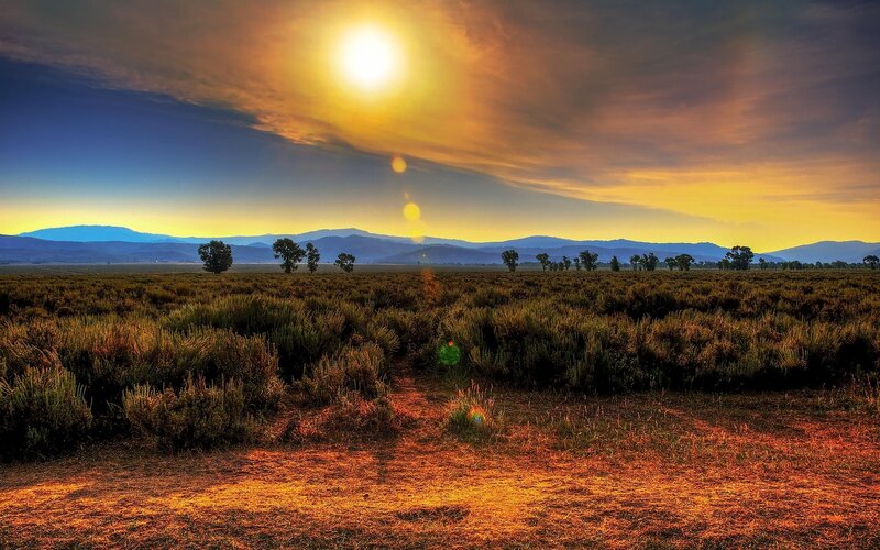 Sunrise over Sagebrush Field — Orange