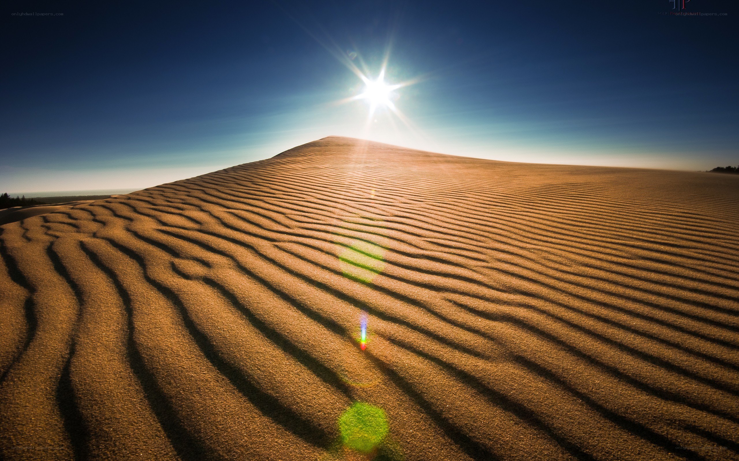 Sunrise over sand dunes
