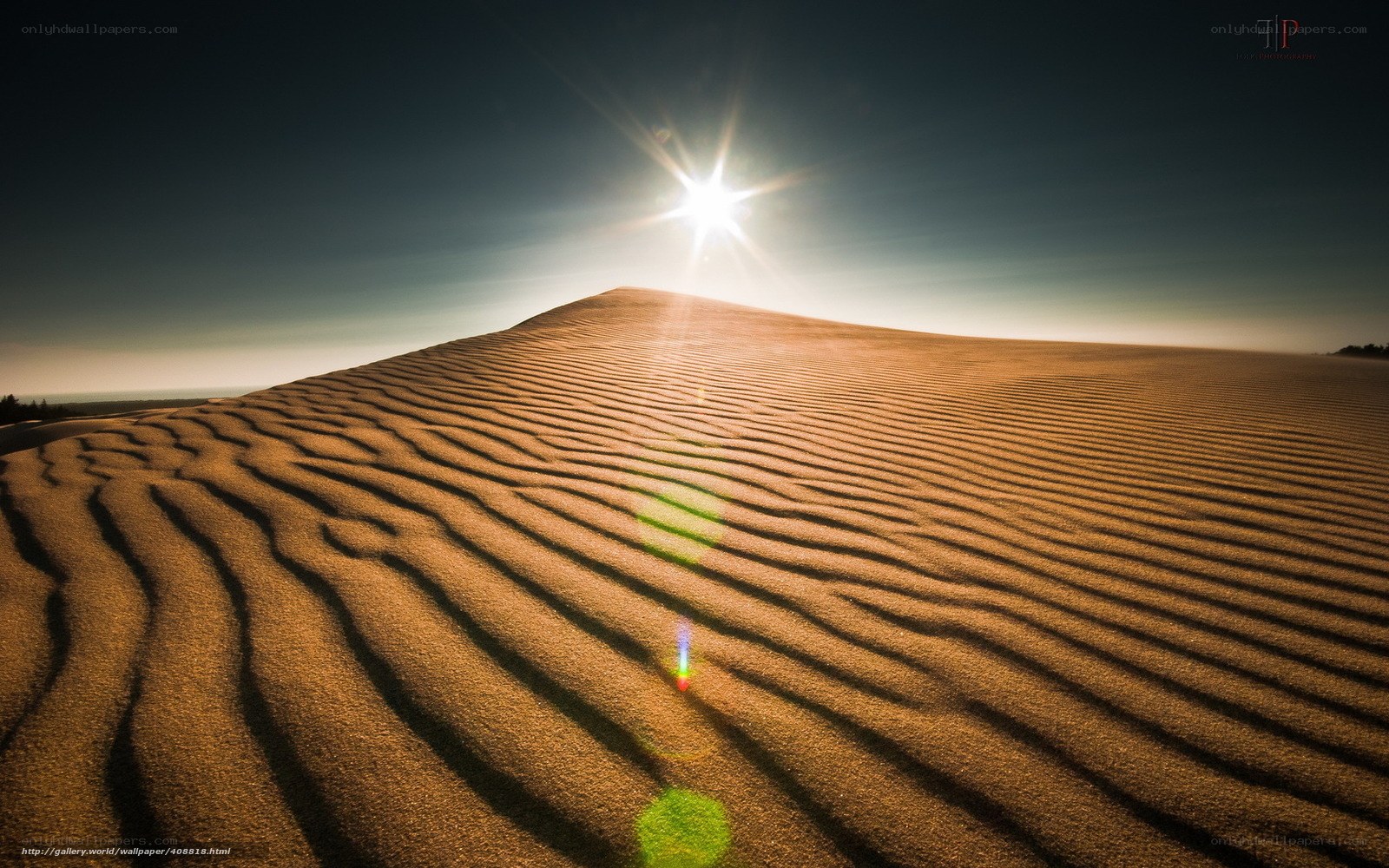 Sunrise over sand dunes