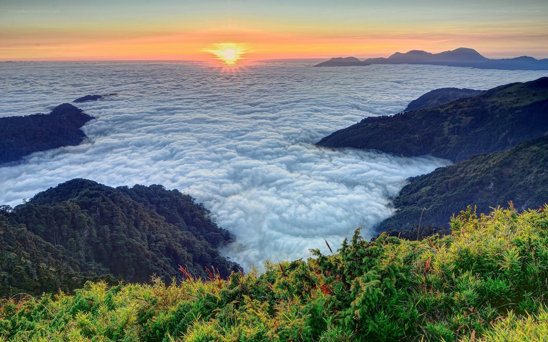 Sunrise over sea of clouds