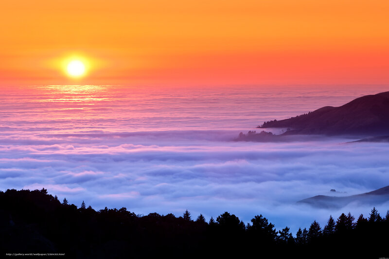 Sunrise over Sea of Clouds — Orange, Serene, Photograph