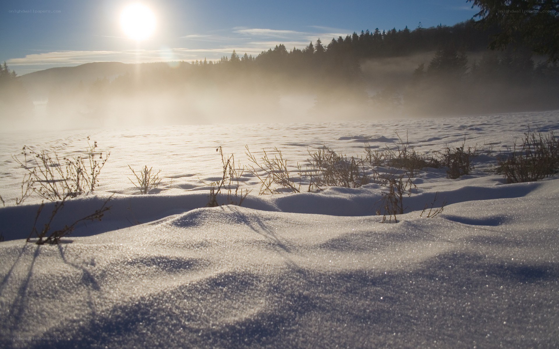 Sunrise over snowy field