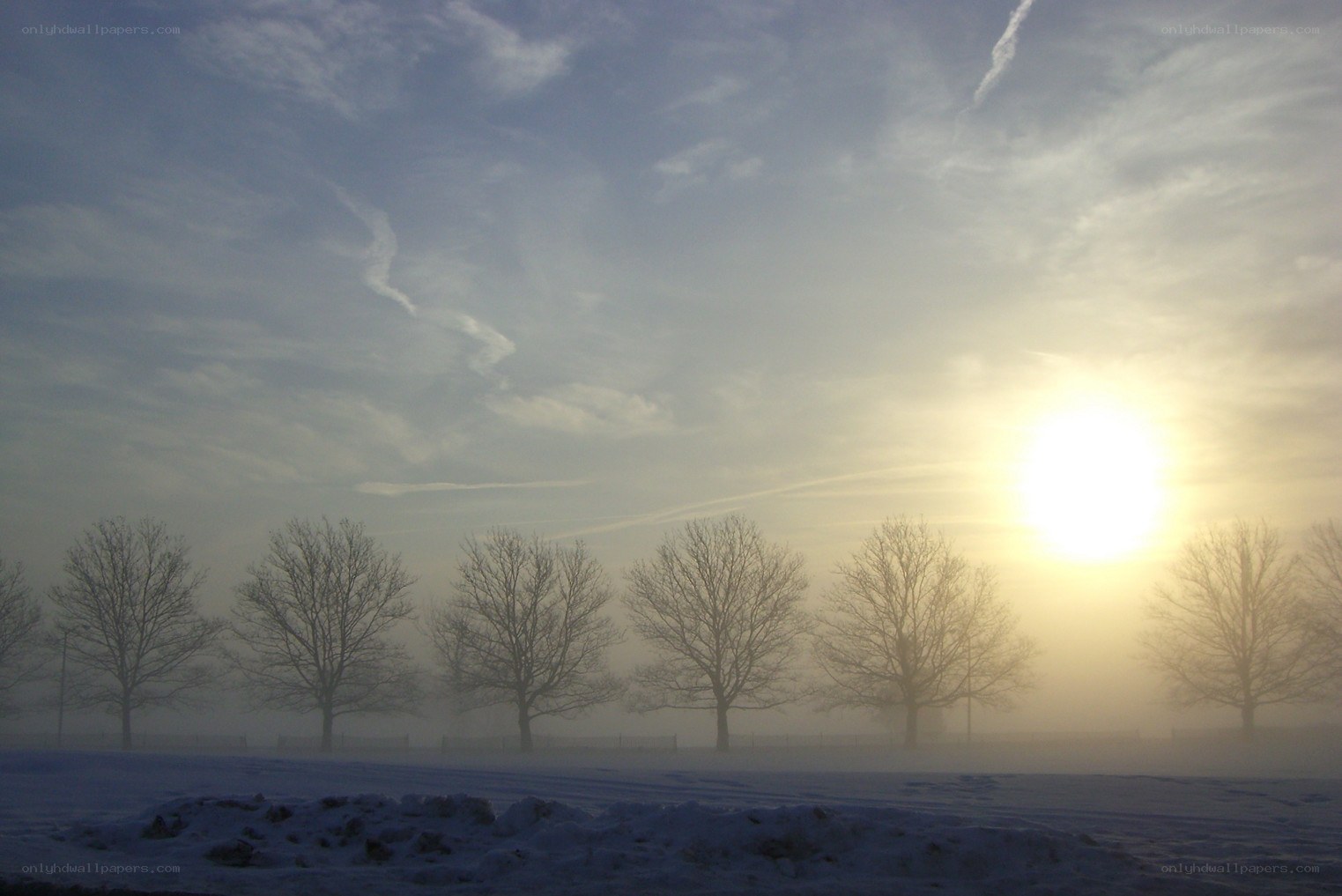 Sunrise over snowy field