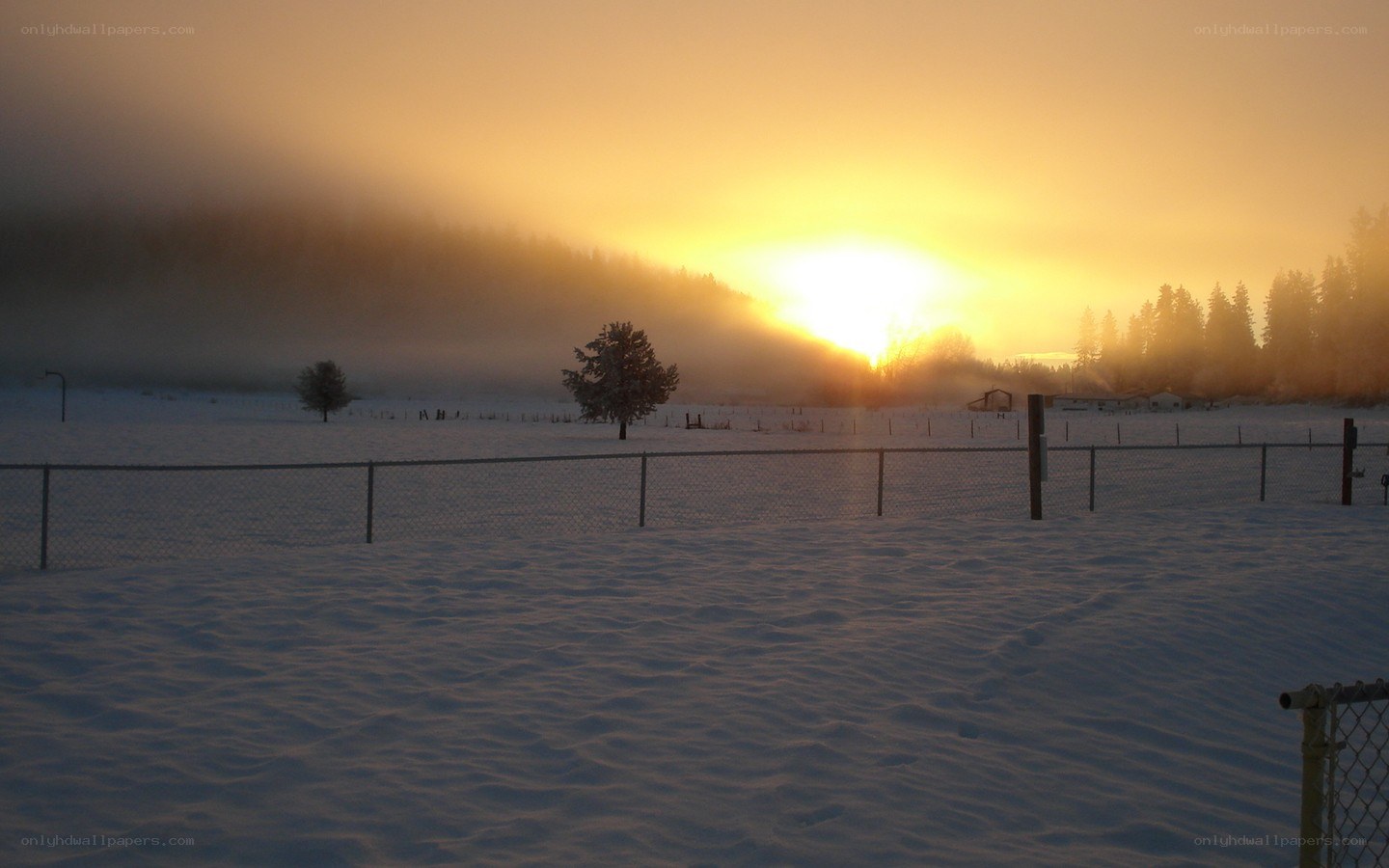 Sunrise over snowy field