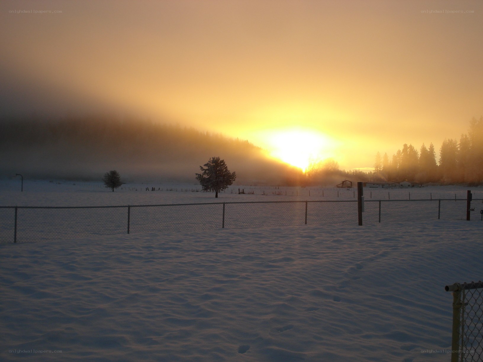 Sunrise over snowy field
