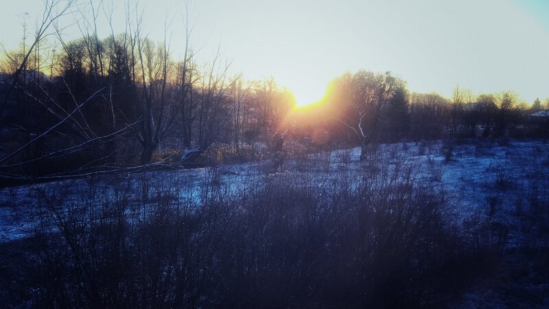 Sunrise over Snowy Field — Blue, Serene