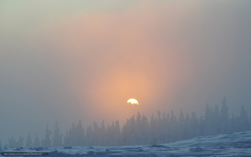 Sunrise over Snowy Forest — Orange, Serene