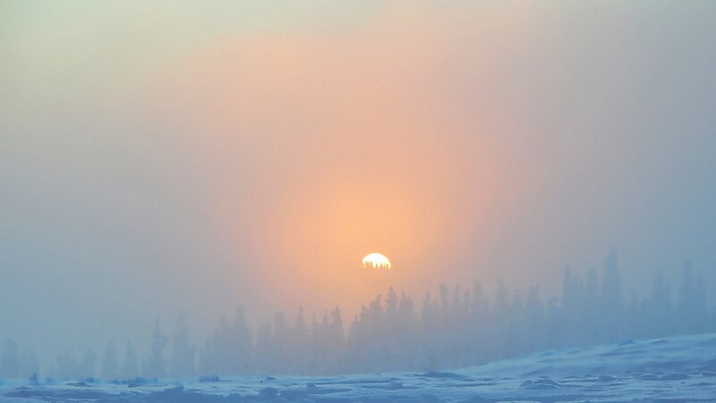 Sunrise over Snowy Forest — Orange
