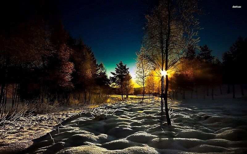 Sunrise over Snowy Forest — Yellow, Dramatic, Winter, Photograph