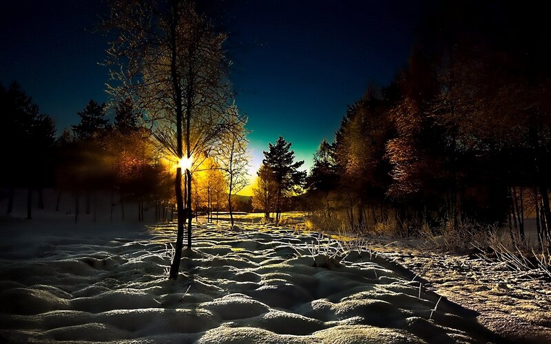 Sunrise over Snowy Forest — Yellow, Dramatic, Winter, Photograph, Trees