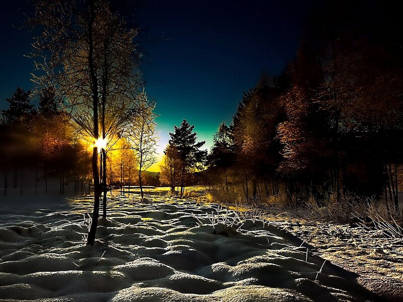 Sunrise over Snowy Forest — Yellow