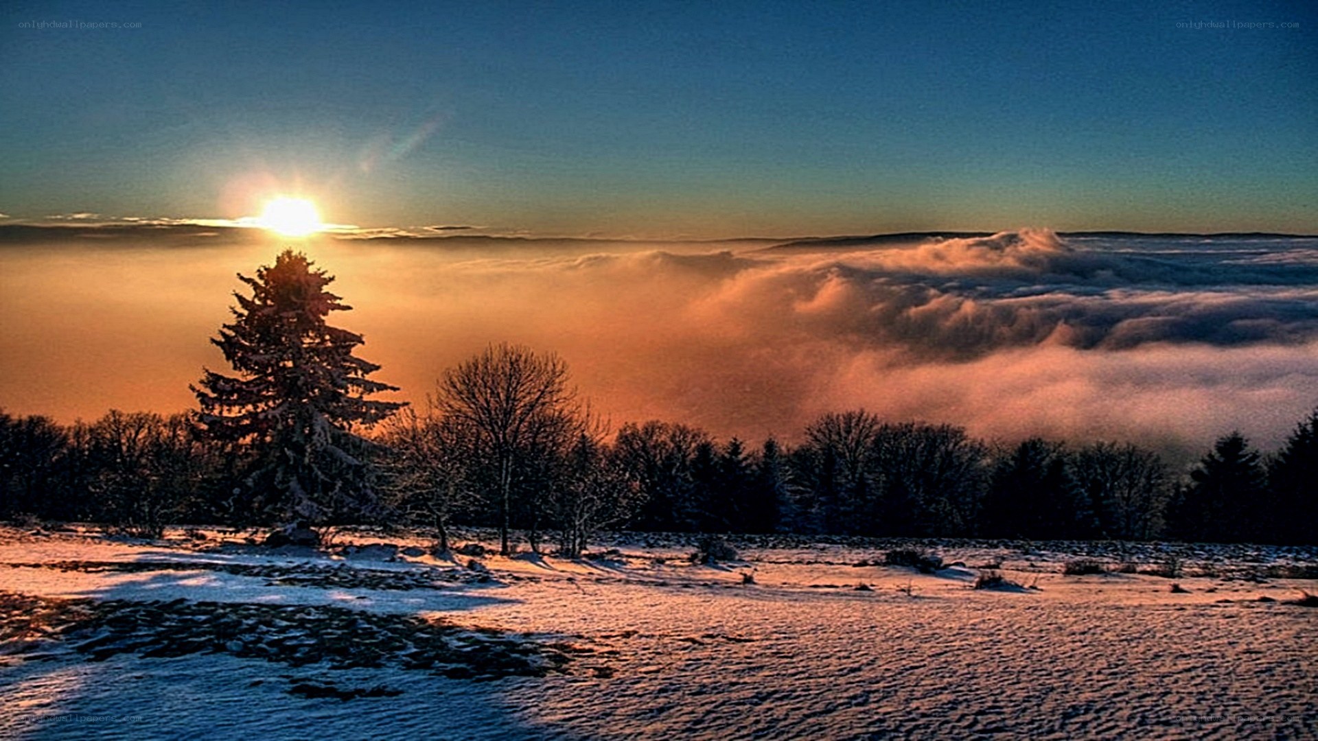 Sunrise over snowy landscape