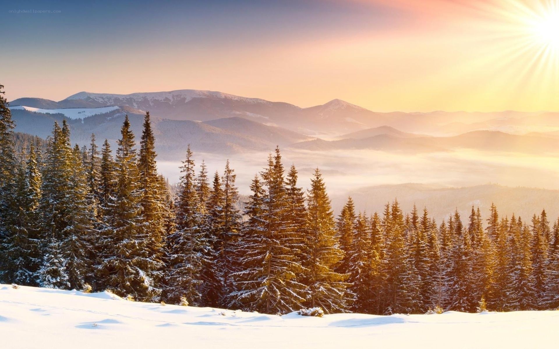 Sunrise over snowy mountains