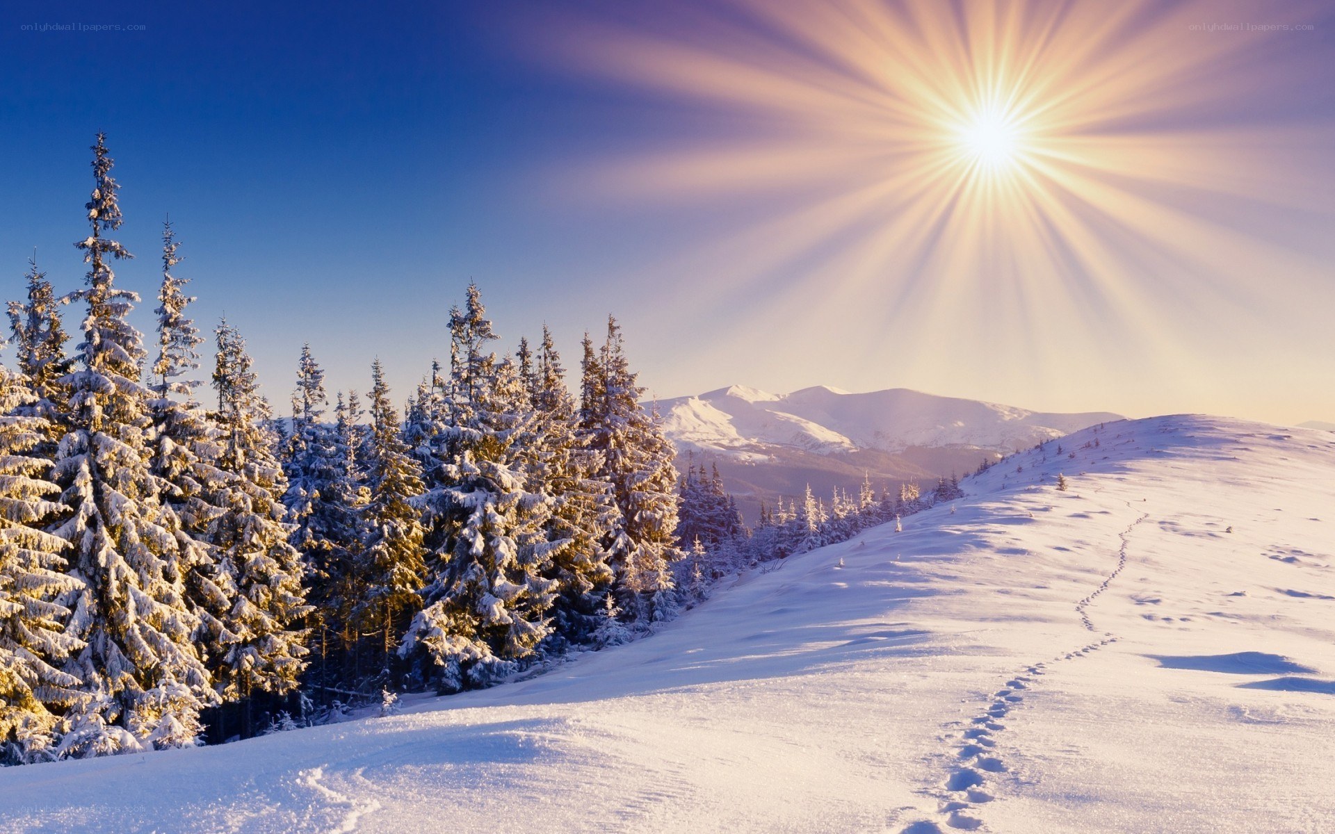 Sunrise over snowy mountains