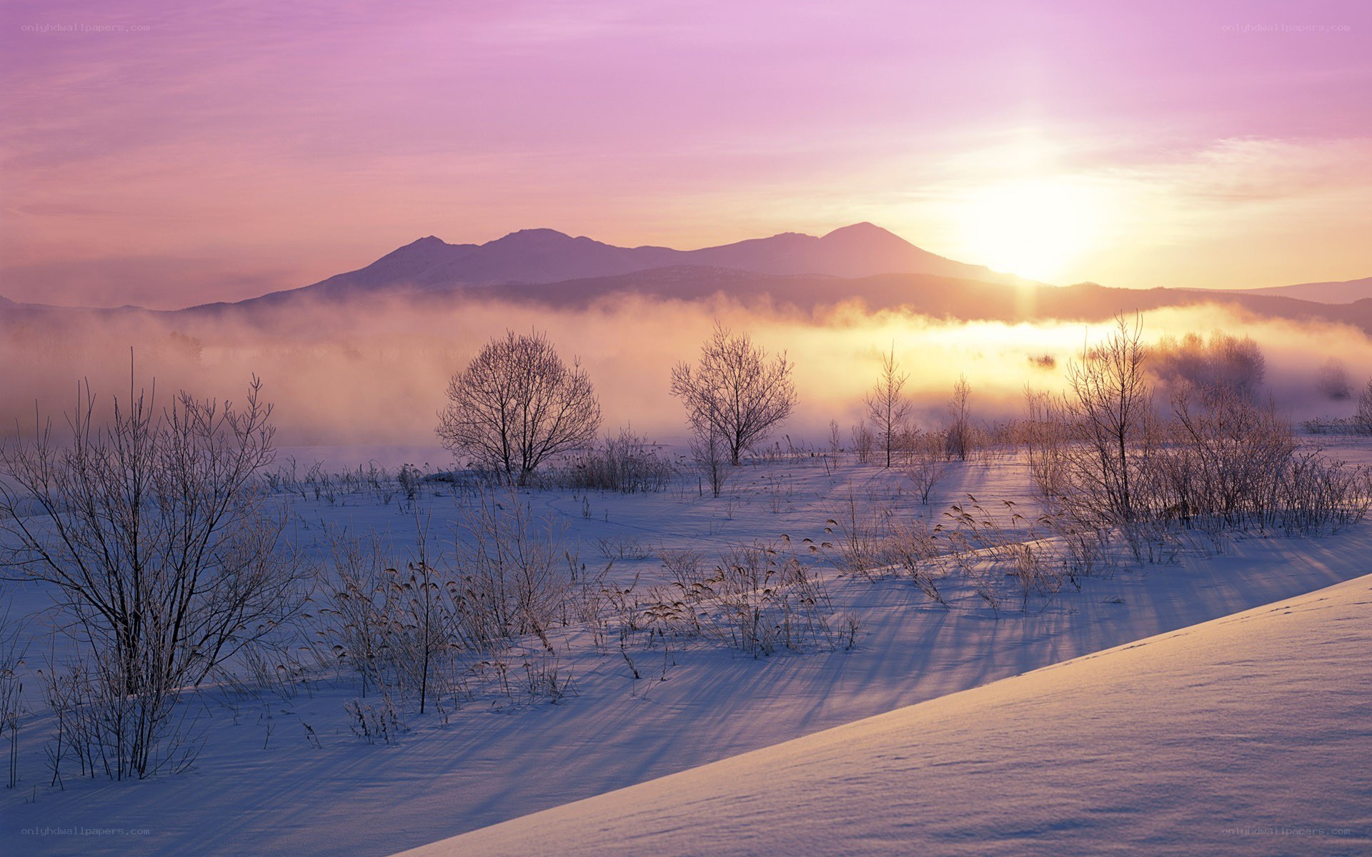 Sunrise over snowy mountains