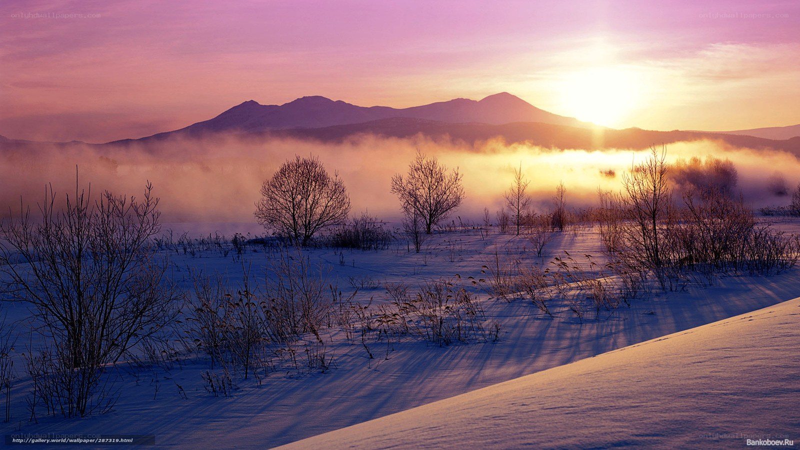 Sunrise over snowy mountains