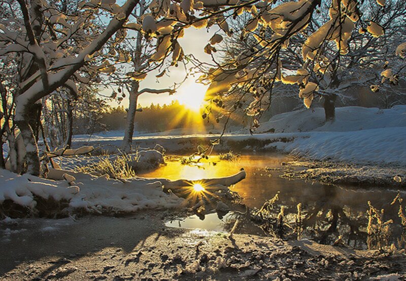 Sunrise over Snowy Stream