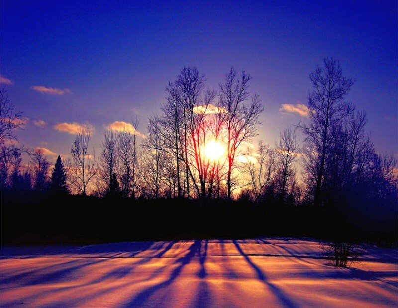 Sunrise over Snowy Trees — Blue