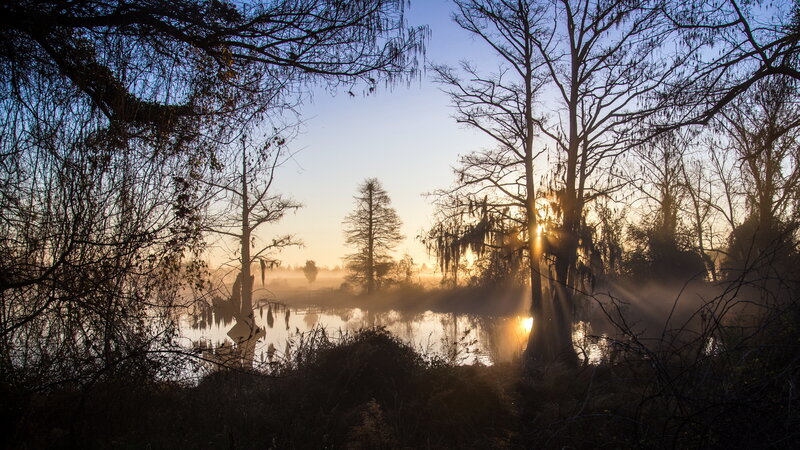 Sunrise over Swamp
