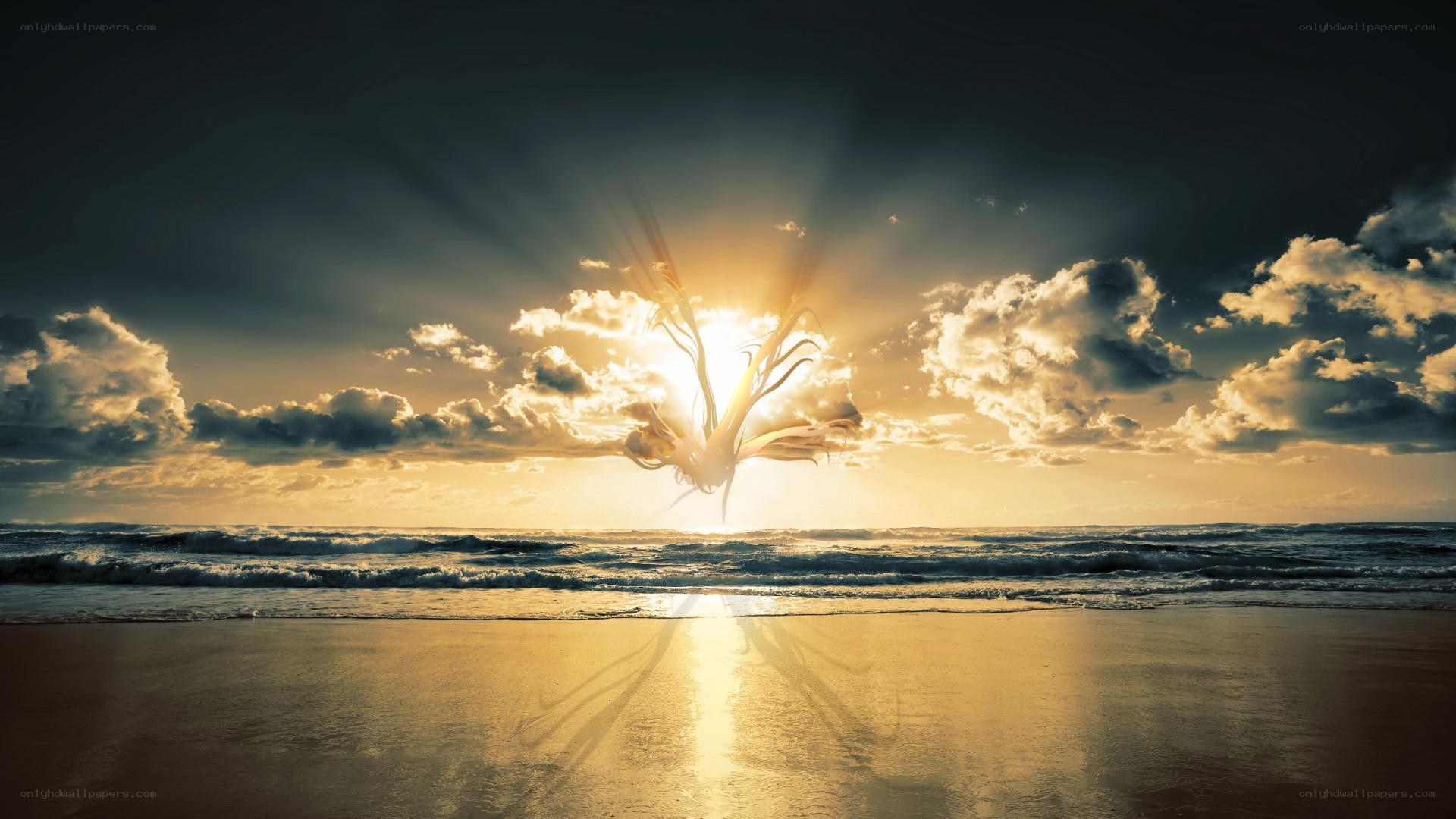 Sunrise over the ocean
