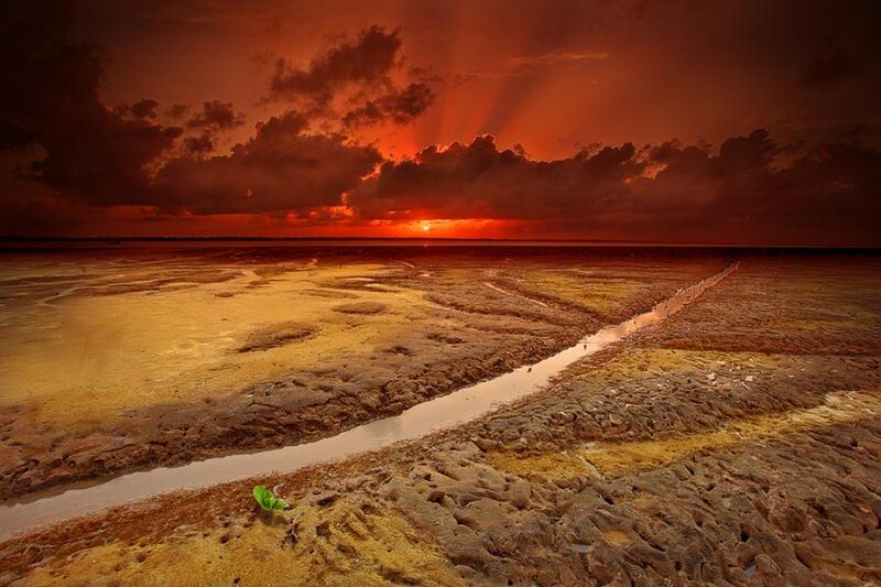Sunrise over Tidal Flats