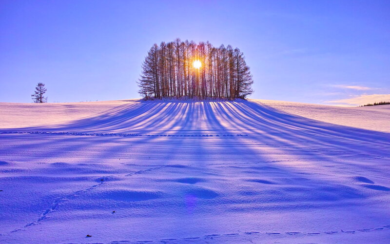 Sunrise over Trees — Blue