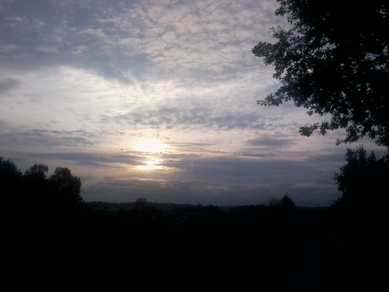 Sunrise over Trees — Gray