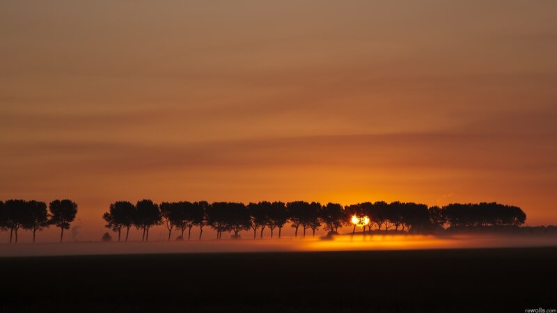 Sunrise over Trees — Orange, Serene, Photograph, Fog, Sky