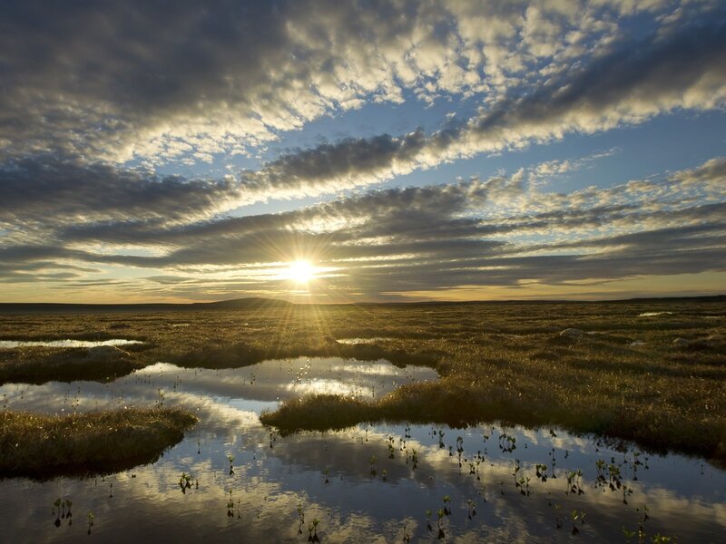 Sunrise over Tundra — Blue, Serene, Photograph