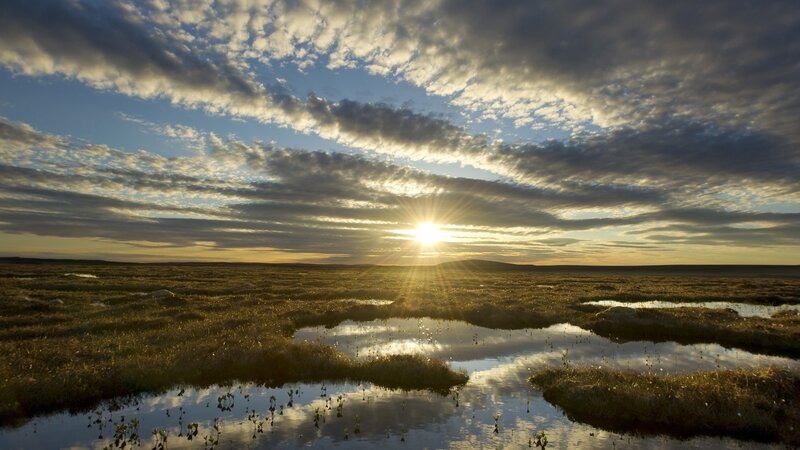 Sunrise over Tundra — Blue, Serene