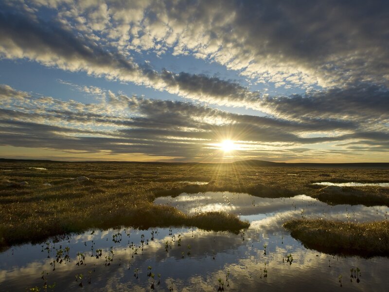 Sunrise over Tundra — Blue