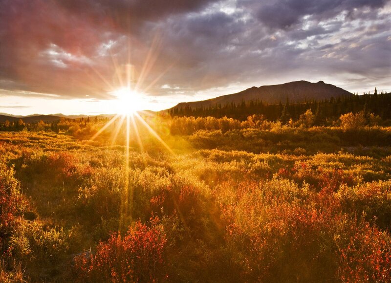 Sunrise over Tundra