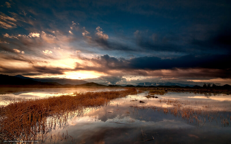 Sunrise over Wetlands — Blue, Dramatic, Photograph
