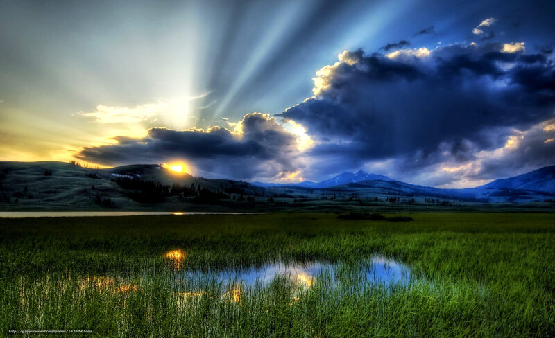 Sunrise over Wetlands — Green, Dramatic, Photograph