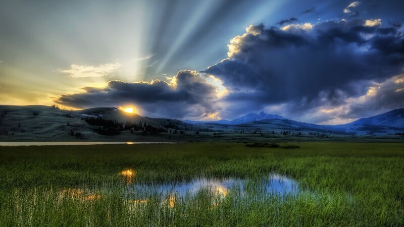 Sunrise over Wetlands — Green