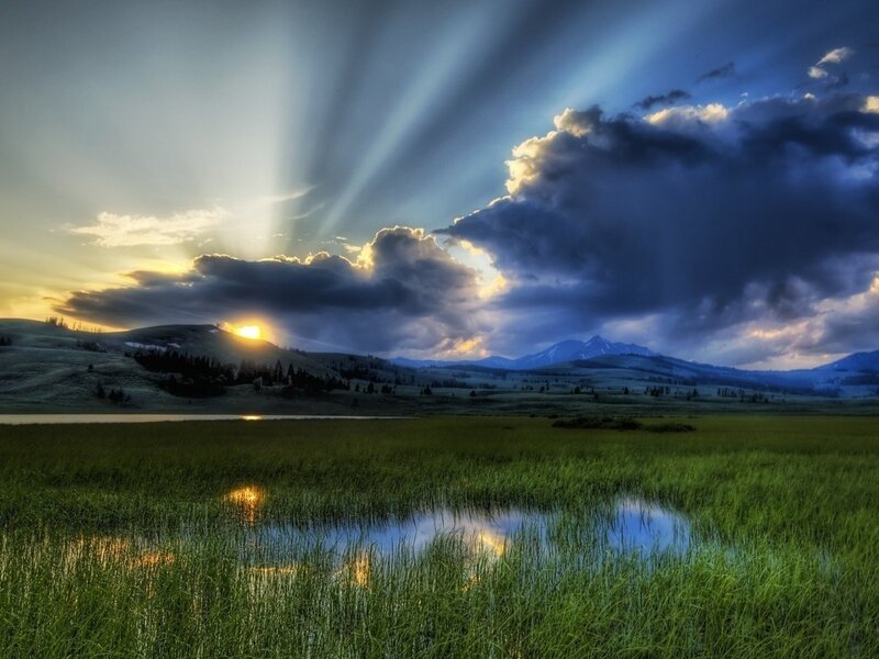 Sunrise over Wetlands