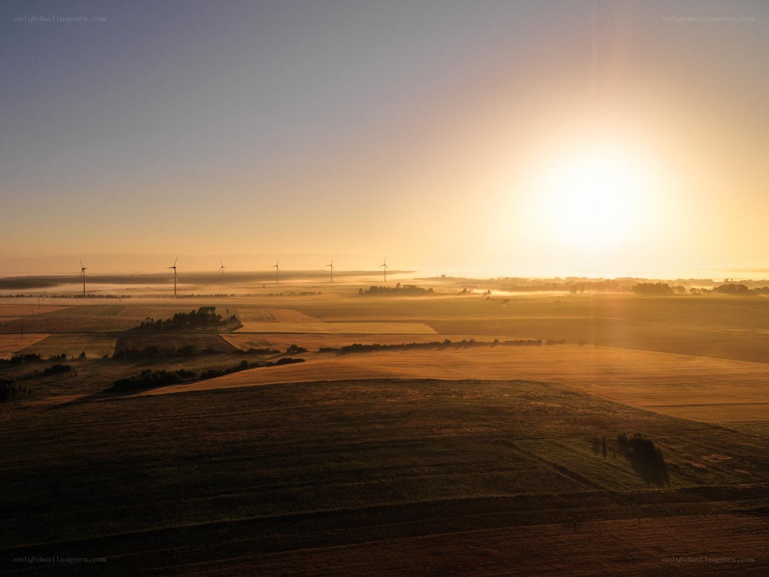 Sunrise over wind turbines