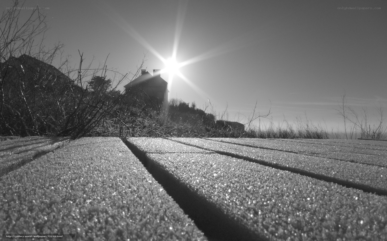 Sunrise over wooden deck