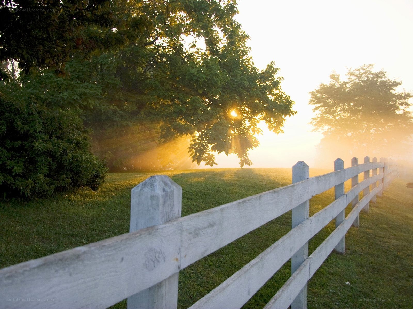 Sunrise through a white fence