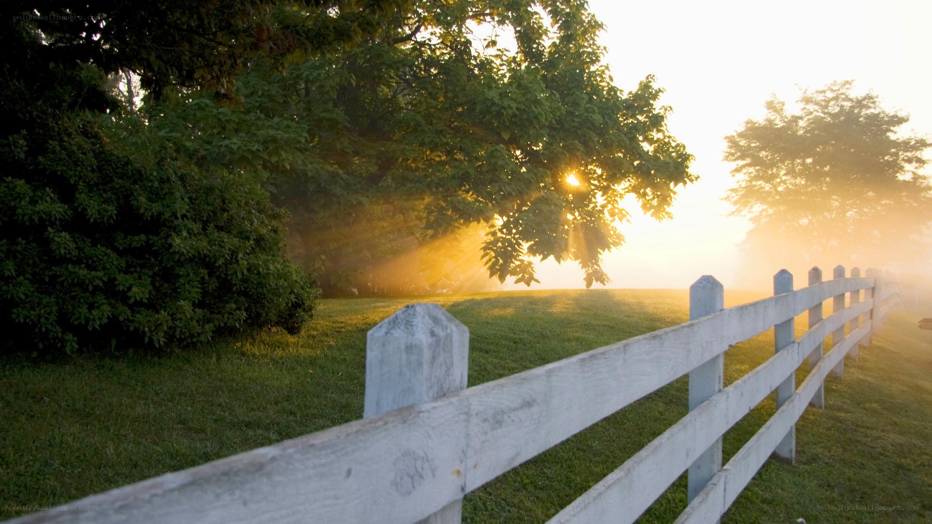 Sunrise through a white fence