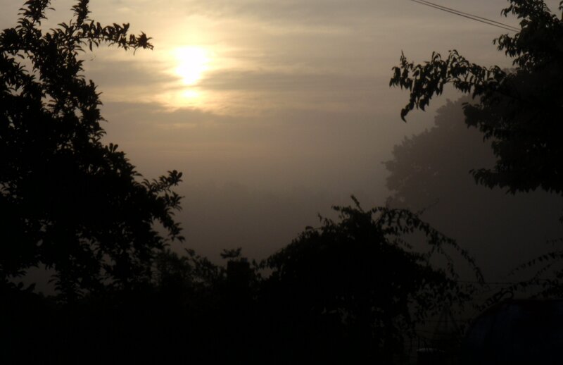 Sunrise Through Fog