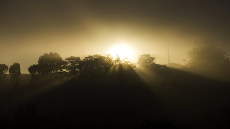 Sunrise Through Fog — Yellow