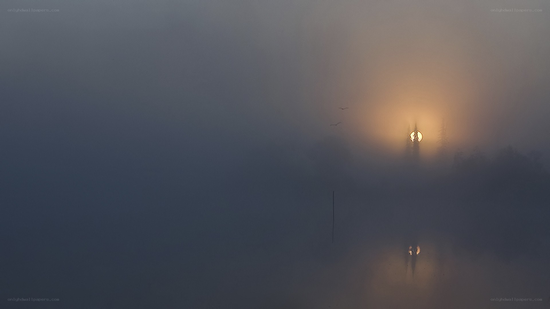 Sunrise through foggy mist