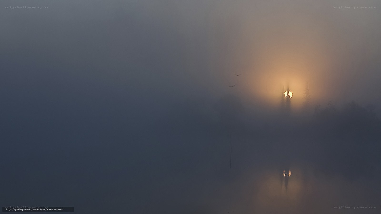 Sunrise through foggy mist