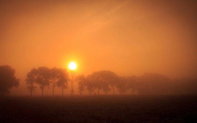 Sunrise through morning fog