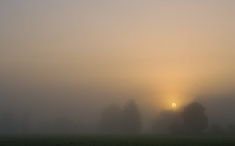 Sunrise through morning fog